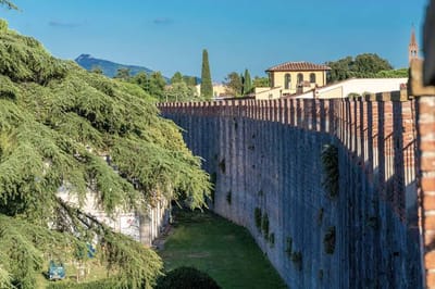 Pisa
