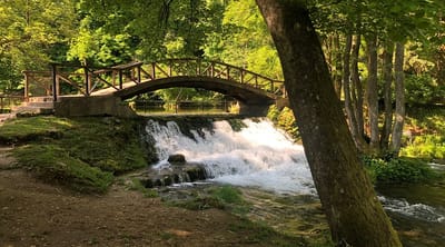 Saraybosna