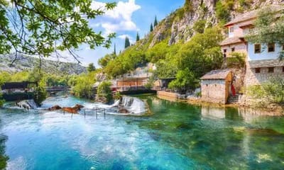 İşkodra