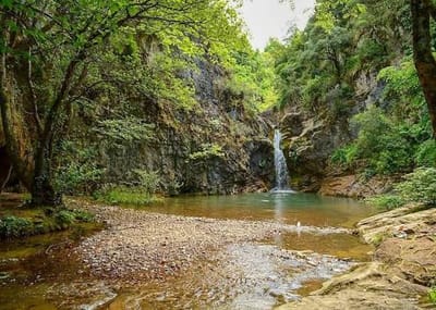 Ağva