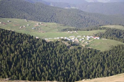 Giresun