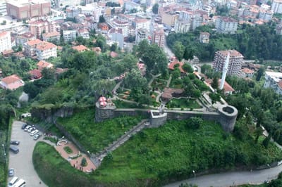 Rize