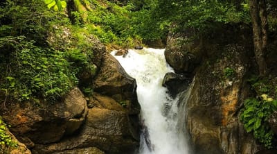 Trabzon
