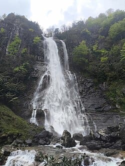 Artvin