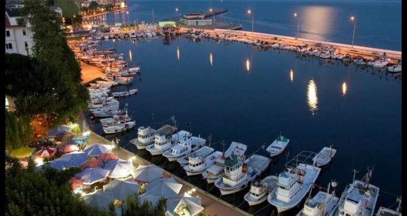 Alesta Apart Otel Sinop