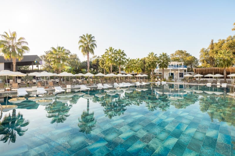 Berry Blue Hotel