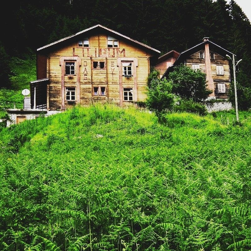 Liligum Dağ Evi