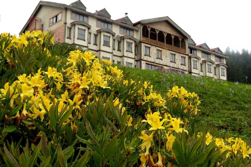 Zifin Hotel