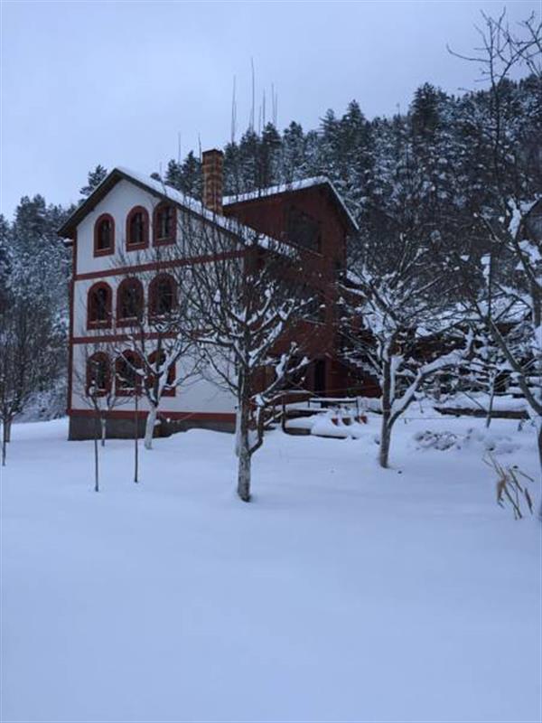 Galeri