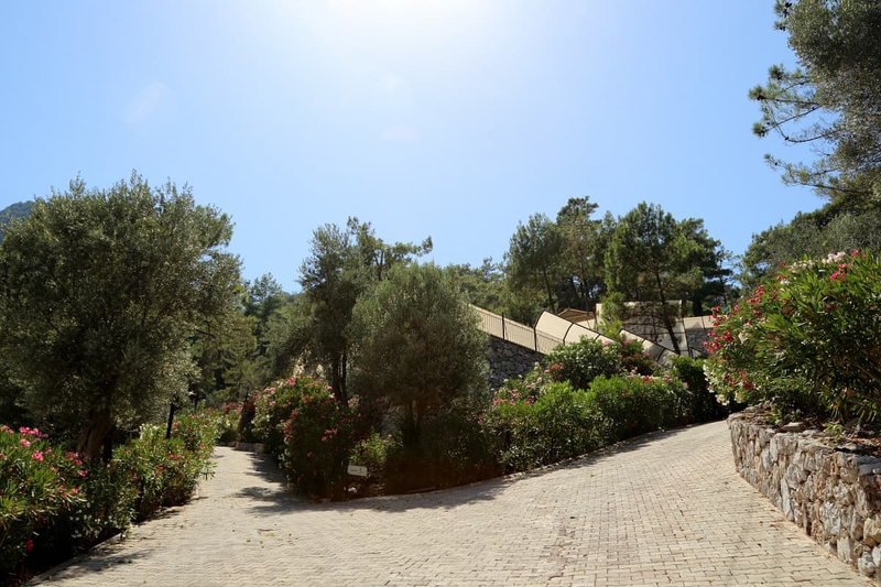 Galeri