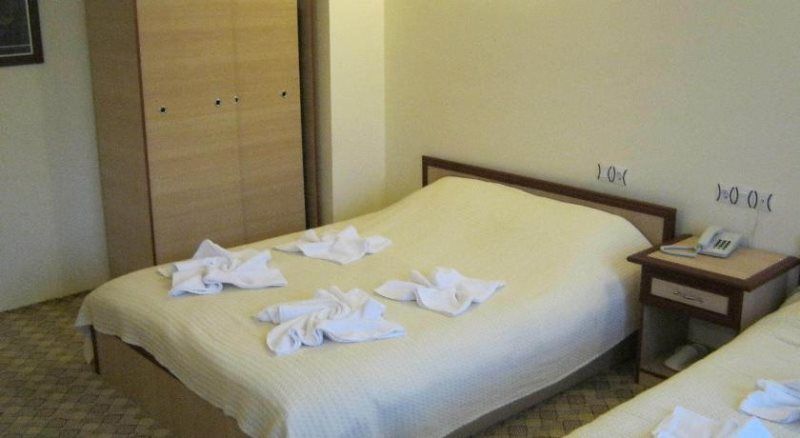 Başkent Demiralan Hotel Resim 9