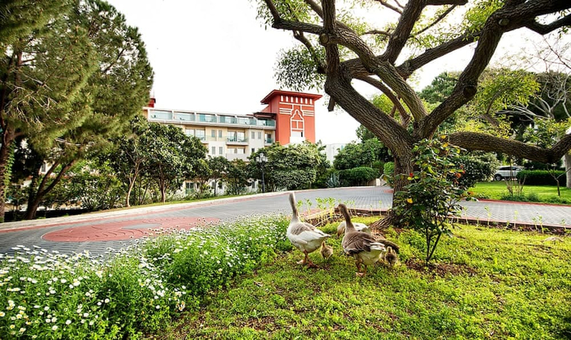 Galeri