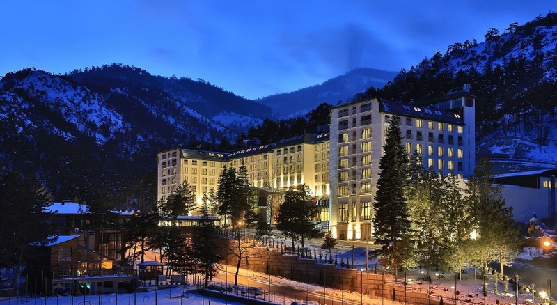 Çam Hotel Thermal Resort & Spa Convention Center Resim 4