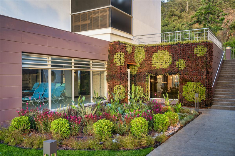 Galeri
