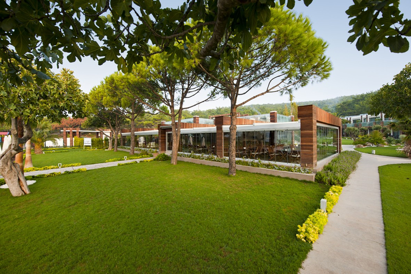 Galeri