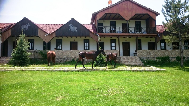 Galeri