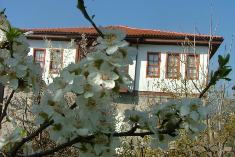 Galeri