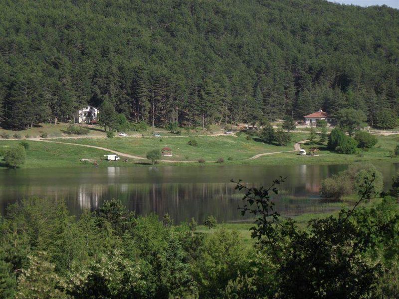 Galeri