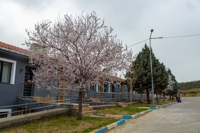 Galeri