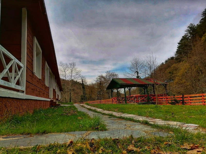 Galeri