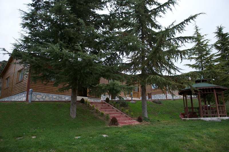 Galeri