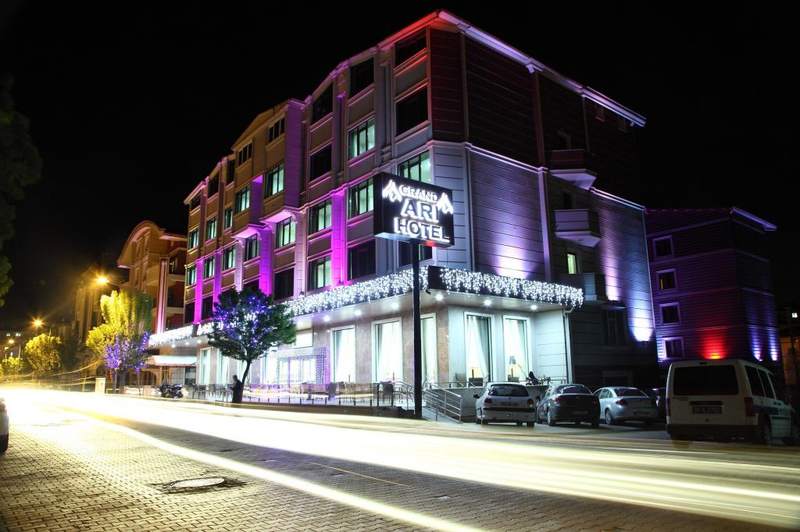 Grand Arı Hotel Resim 1