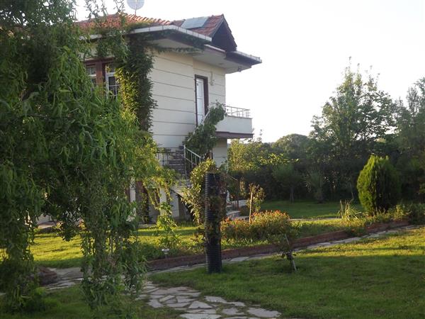 Galeri