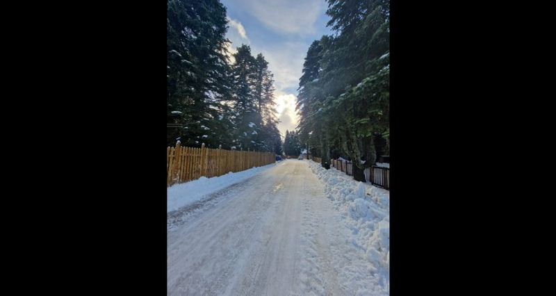 Karinna Orman Köşkleri Resim 7