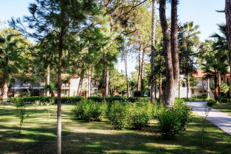 Galeri