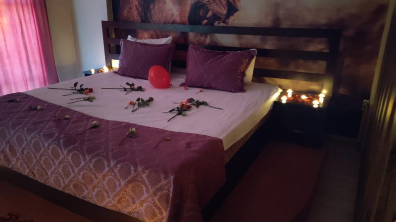 Lion Suites Resim 5