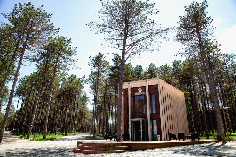 Galeri