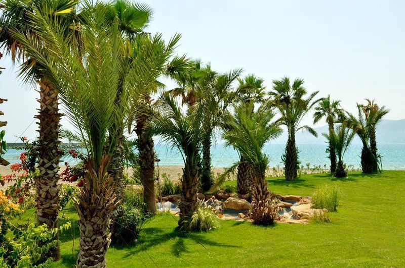 Marpessa Blue Beach Resort Spa Hotel Resim 9