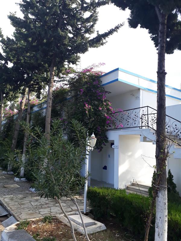 Mavi Beyaz Butik Otel Resim 5