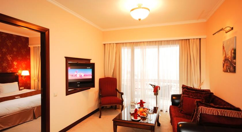 Monec Hotel Ankara Resim 9