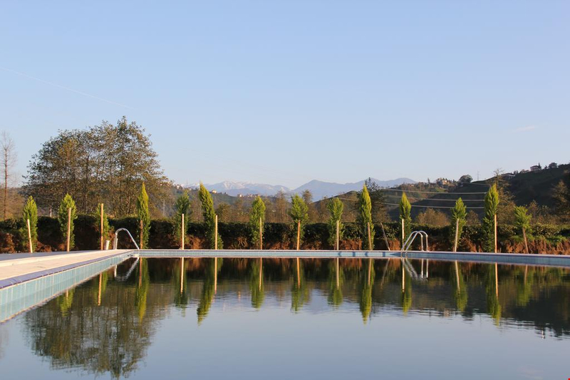 Galeri
