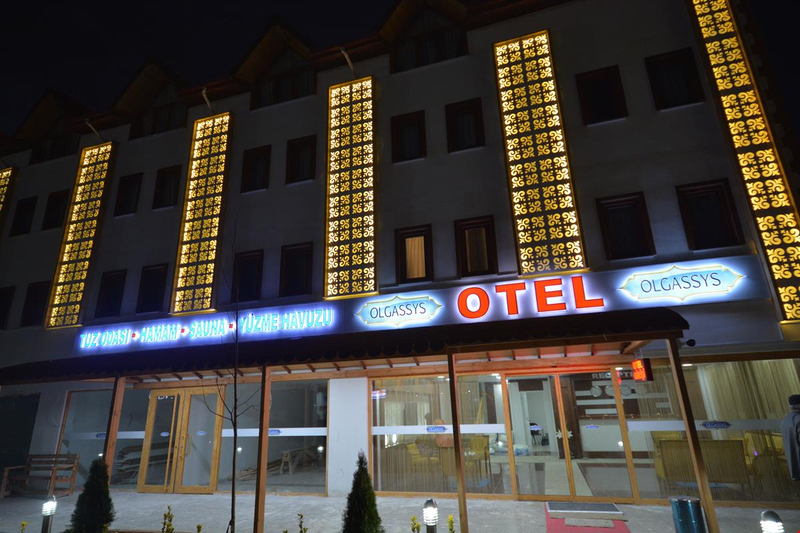 Olgassys Butik Otel Resim 8