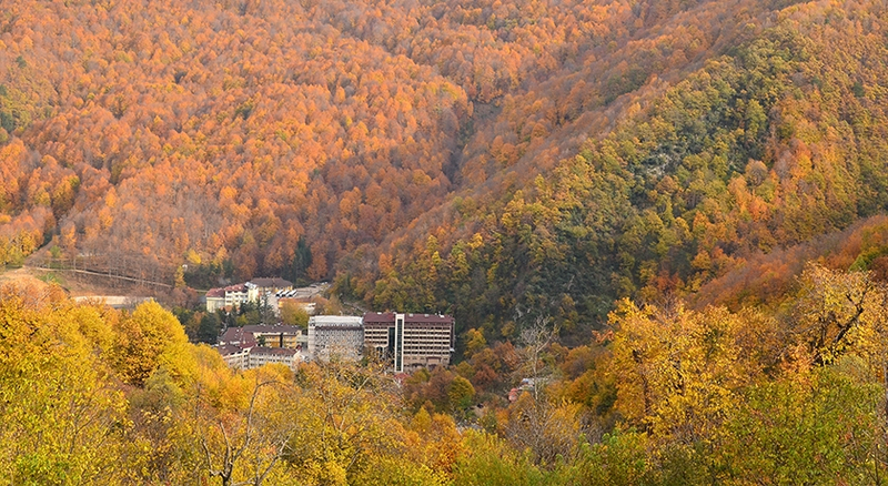 Galeri