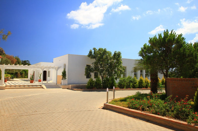 Galeri