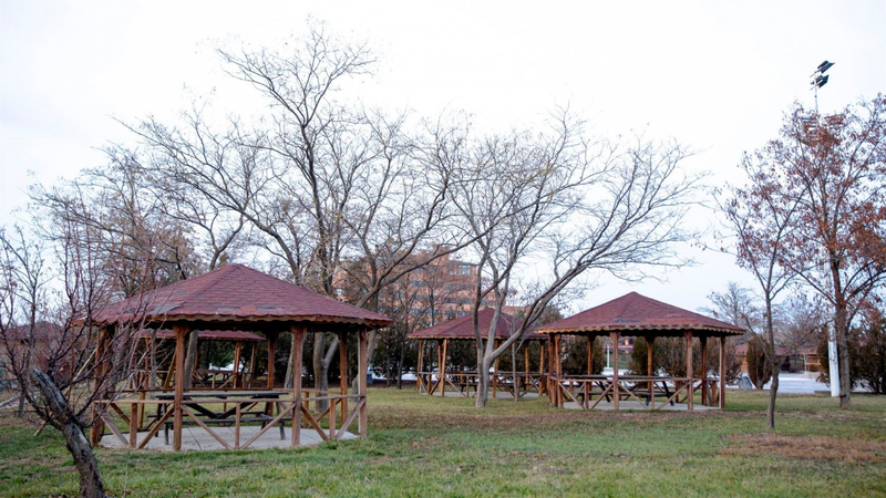 Galeri