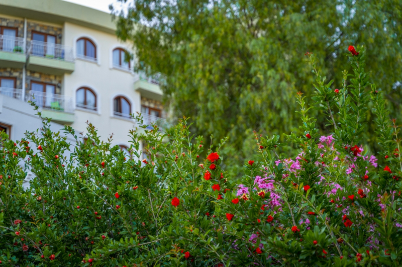 Riva Bodrum Resort Resim 8