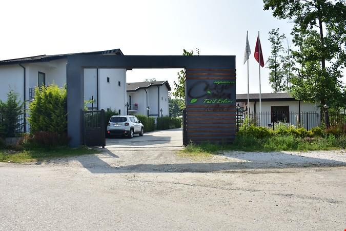 Galeri