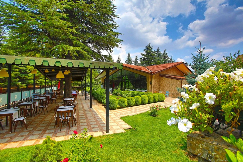 Galeri