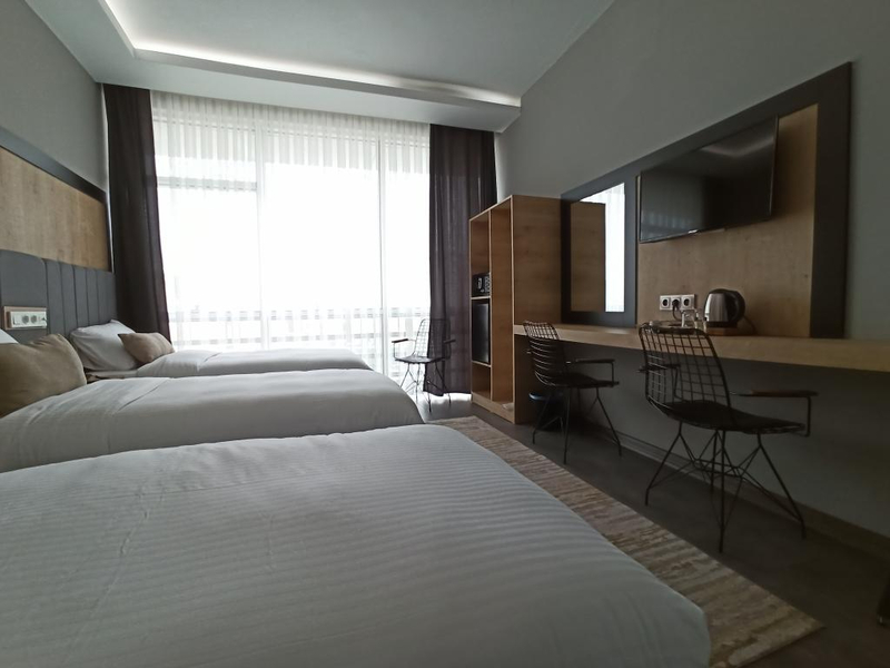 Skylon Airport Hotel Resim 6