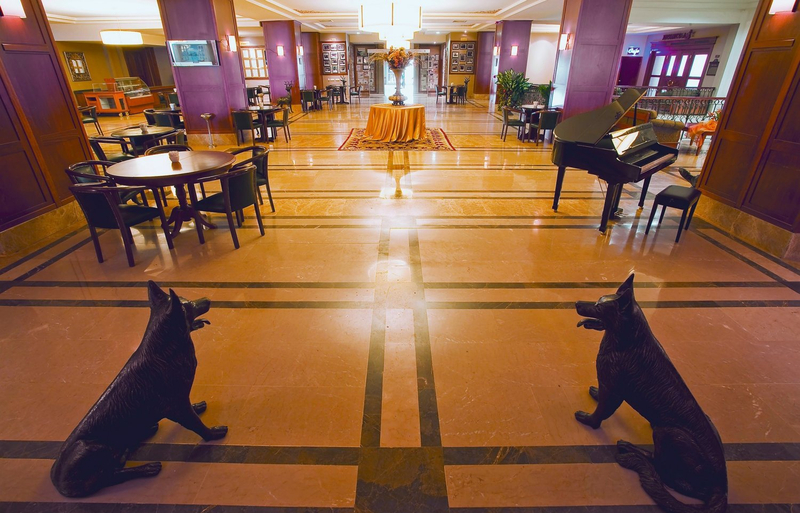 Galeri