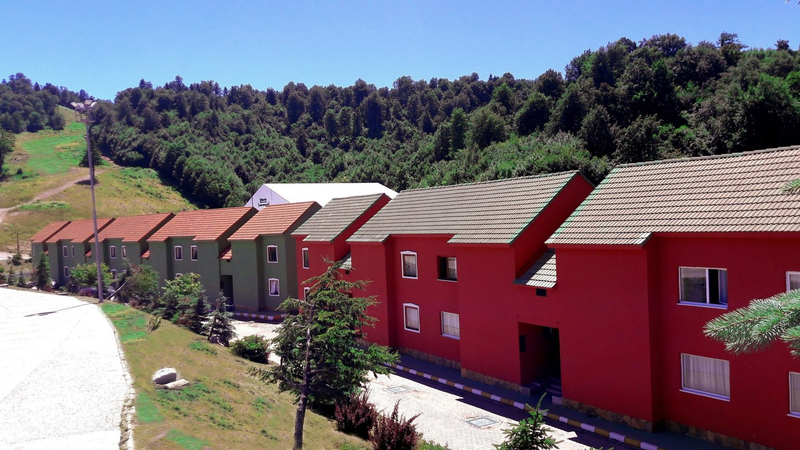 Galeri