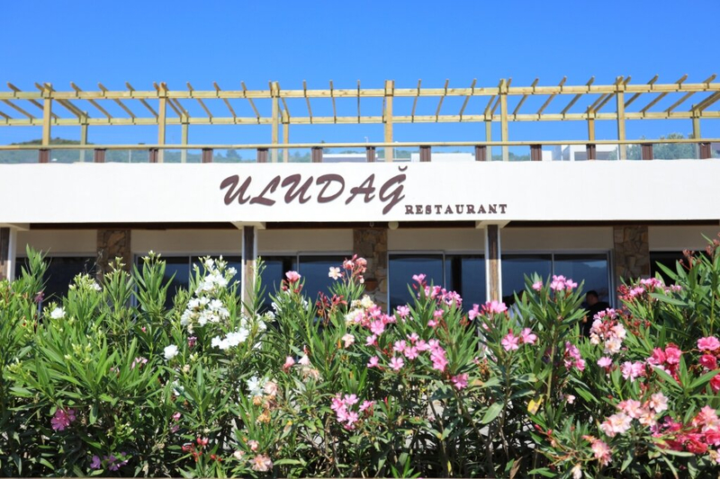 Galeri