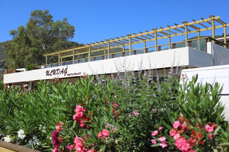 Galeri