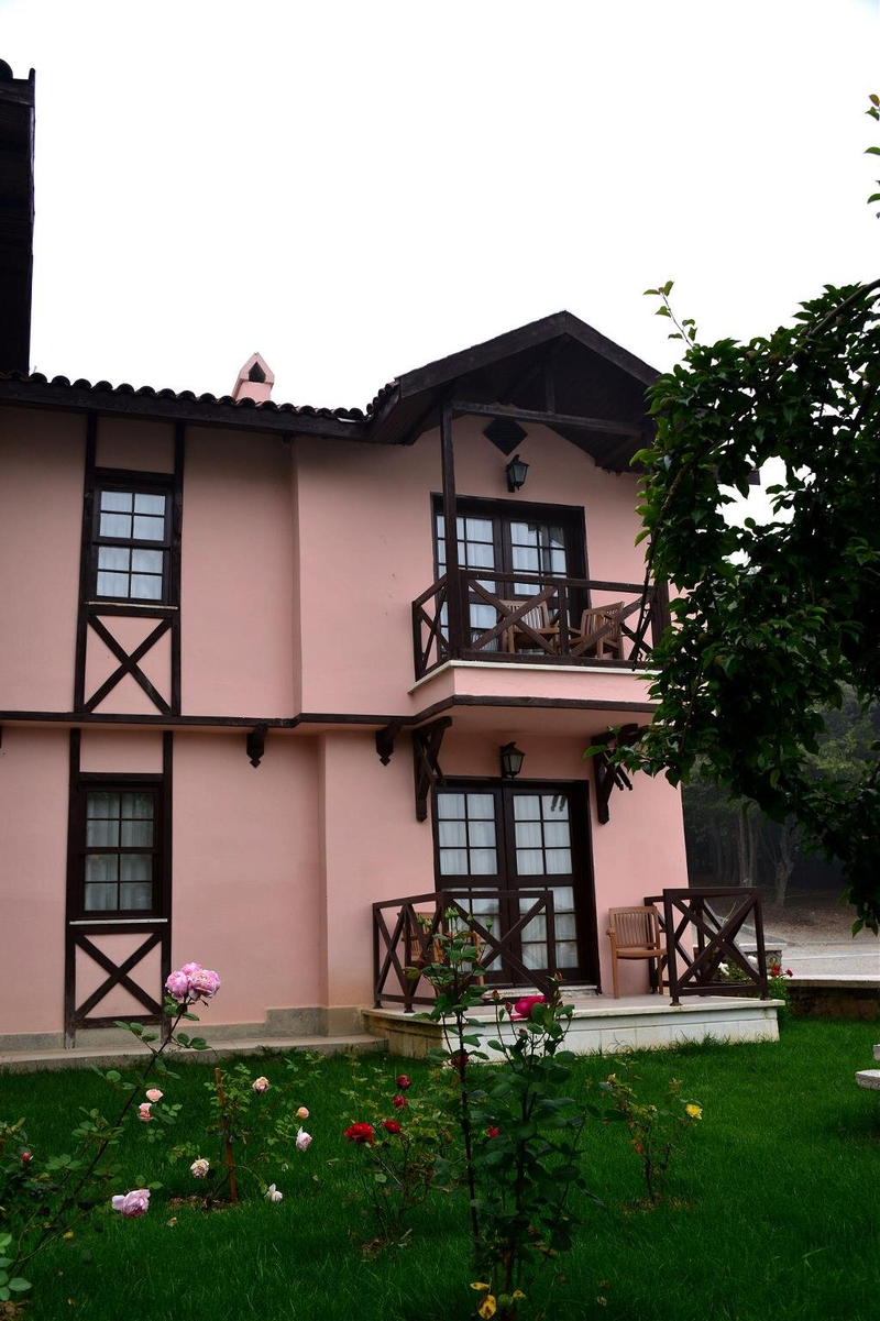 Galeri