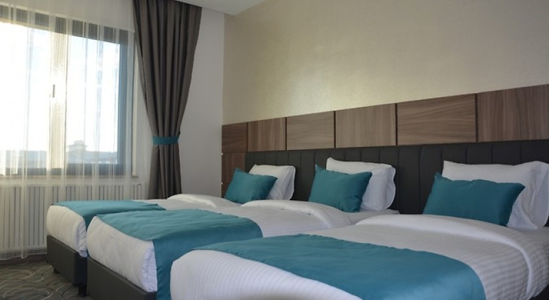 Winter City Hotel Kars Resim 6