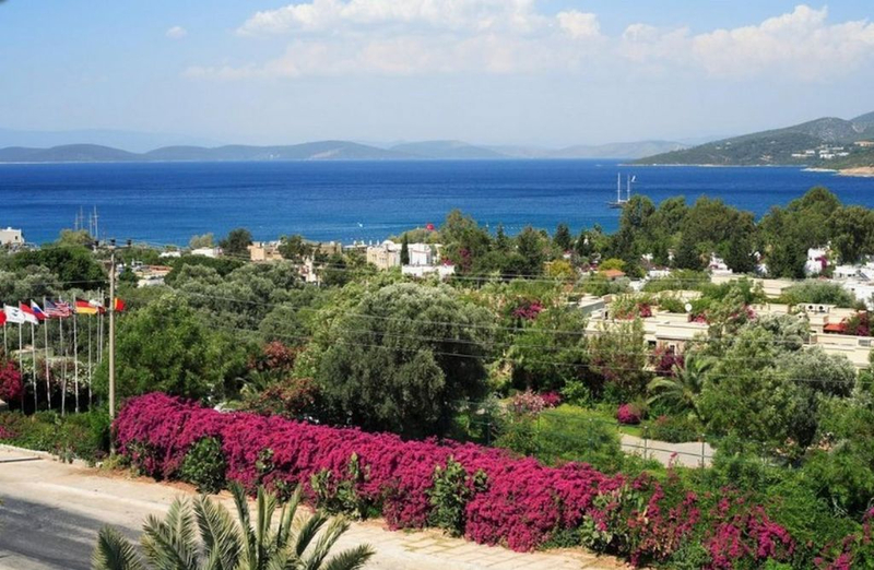 Zeytinada Hotel Bodrum Resim 3